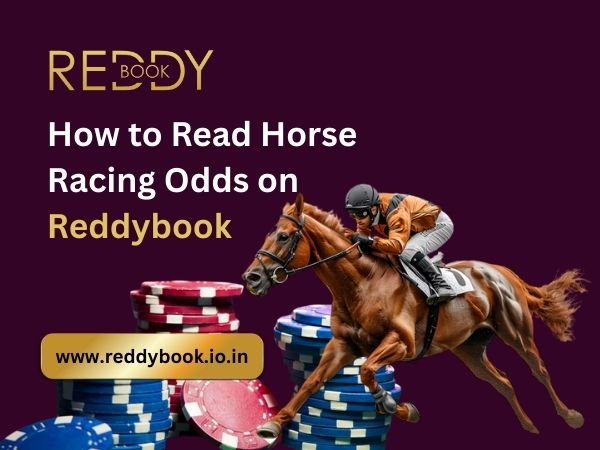 How to Read Horse Racing Odds on Reddybook