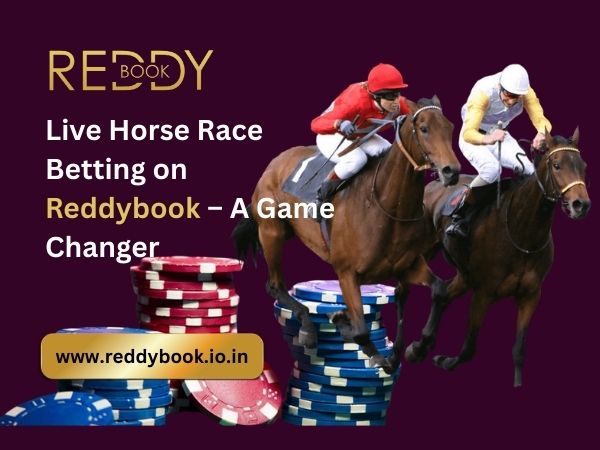 Live Horse Race Betting on Reddybook – A Game Changer